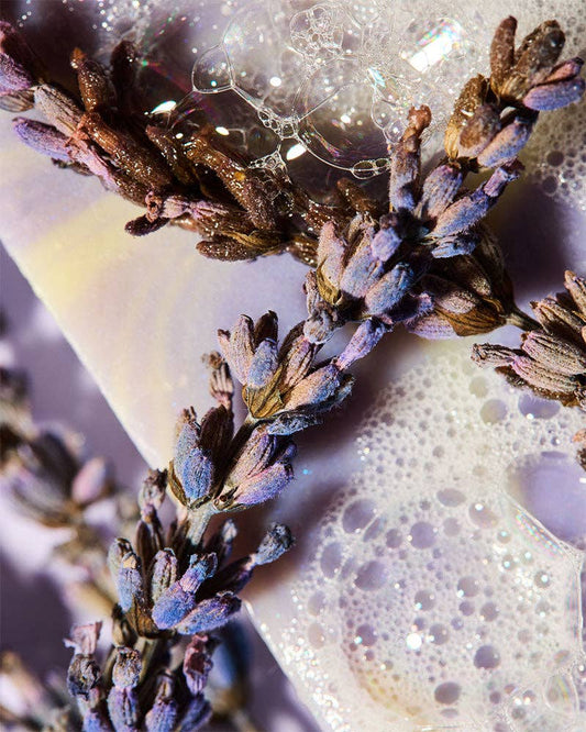 Milled lavender & spa splendor™ fragrance oil: 0.33oz / 10ml