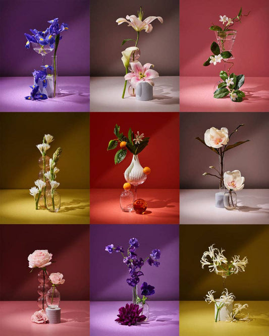 The flower essence collection sample pack